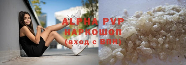 хмурый Аша