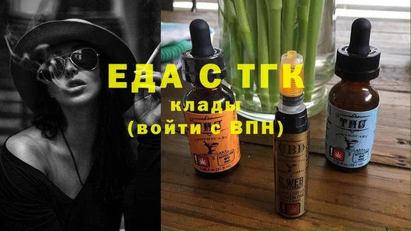 хмурый Аша